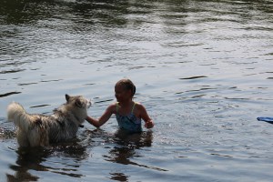 malamute in water with kid